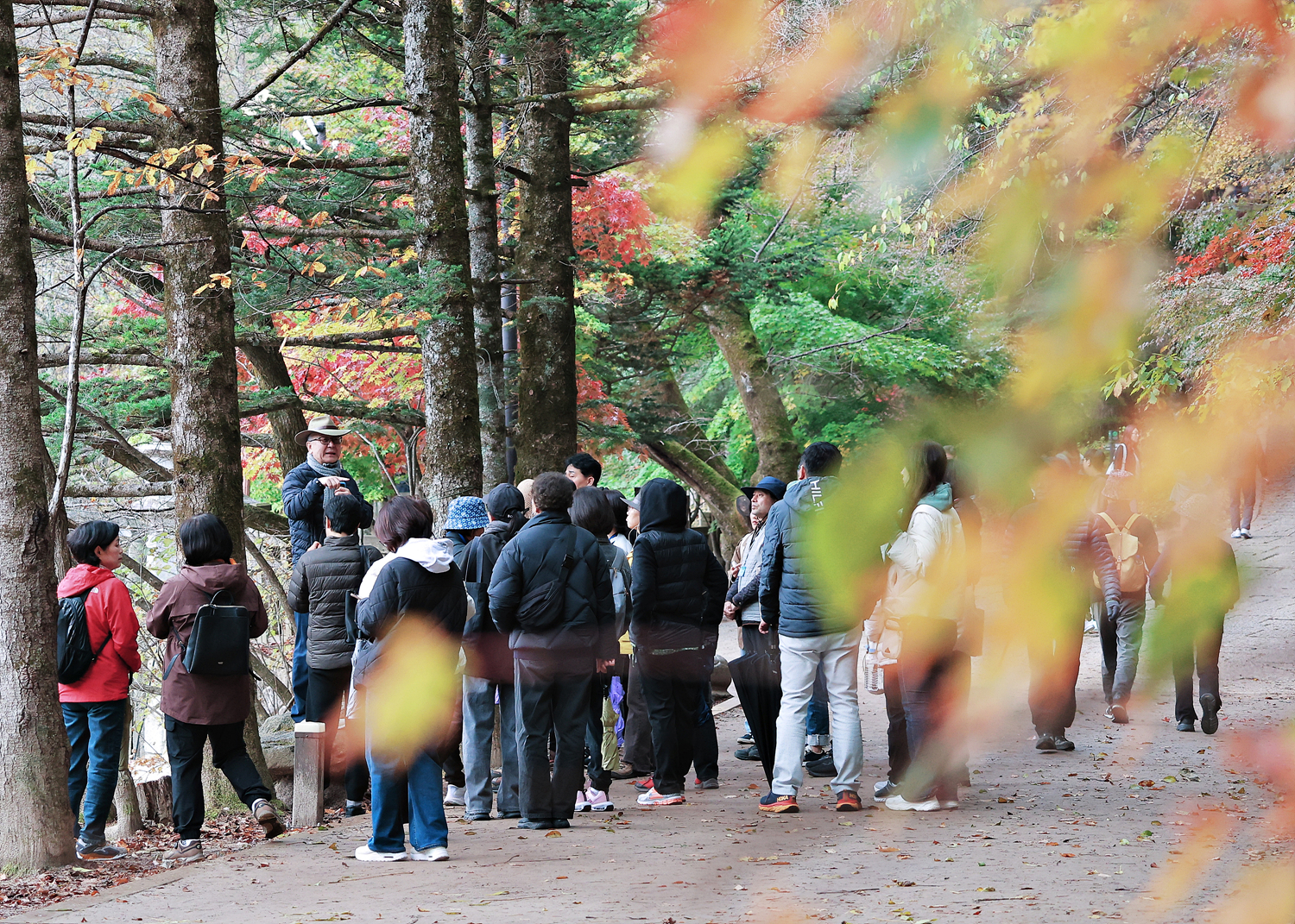 나를 돌보는마음회복 직무연수(4기) 사진